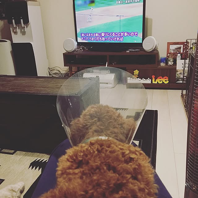 marin_kashimaさんの実例写真
