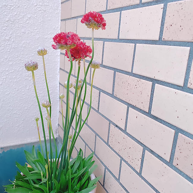 smallroomさんの部屋