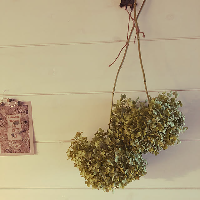 treehouseさんの実例写真