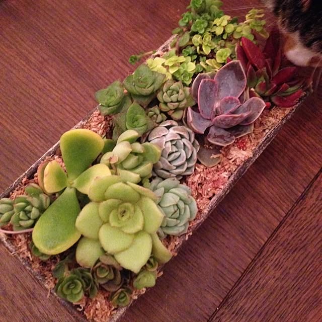 saqura_apartment101さんの実例写真