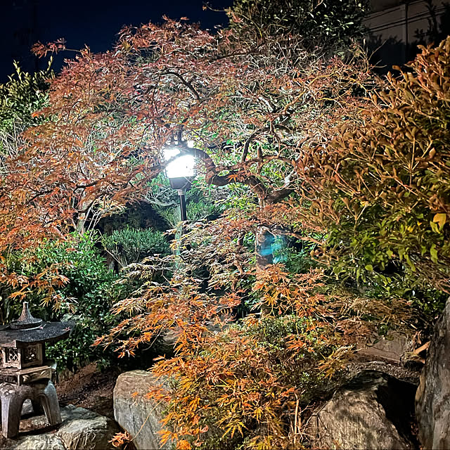 shin0719さんの実例写真