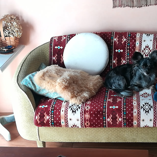 Junkoさんの実例写真