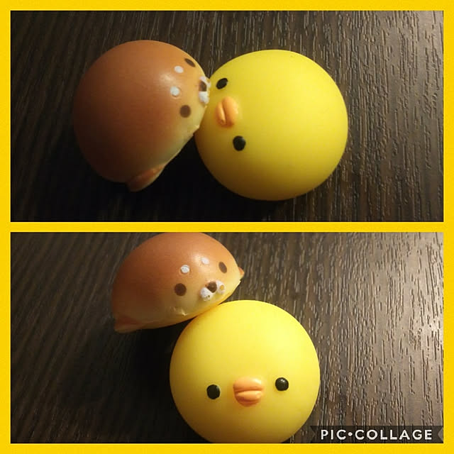yukipさんの実例写真