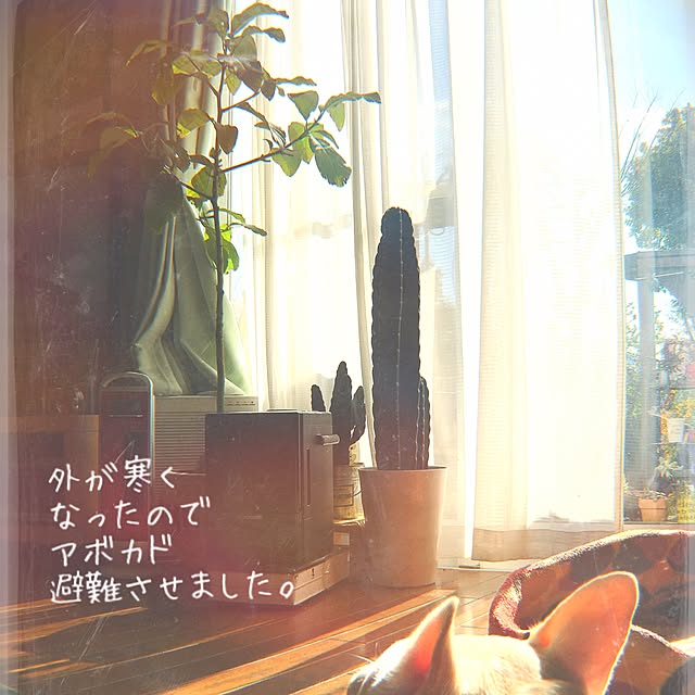 38coreさんの実例写真