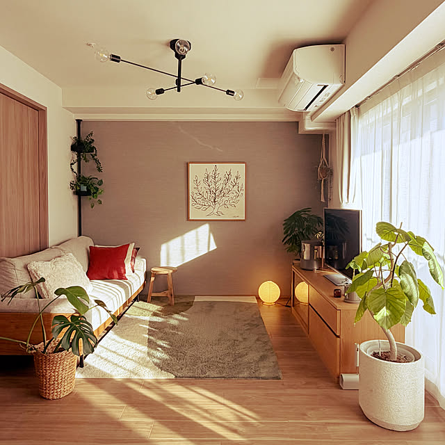 Anthuriumさんの実例写真