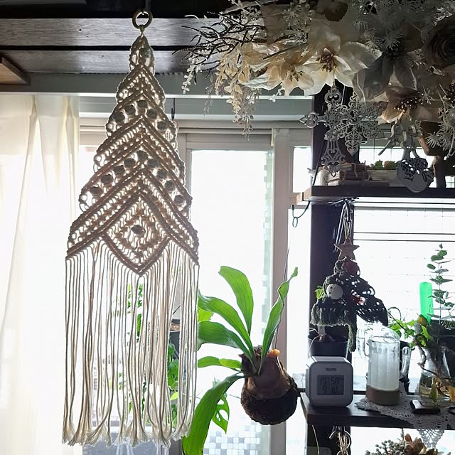 noaさんの実例写真