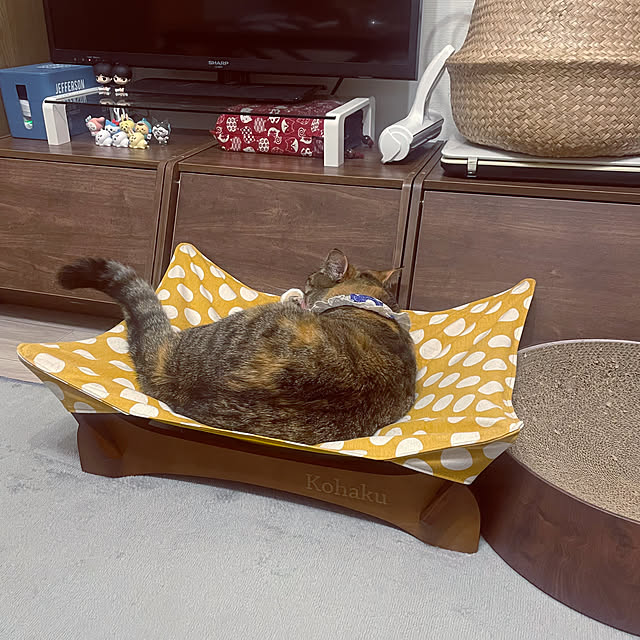 konuさんの実例写真