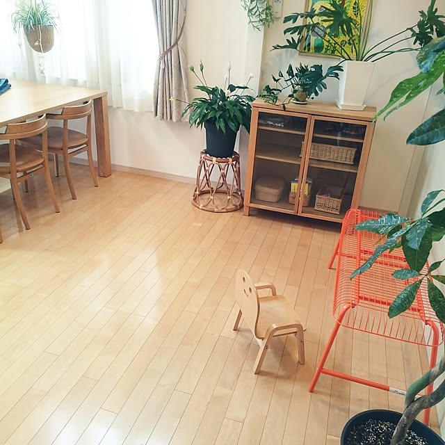 nao525さんの実例写真