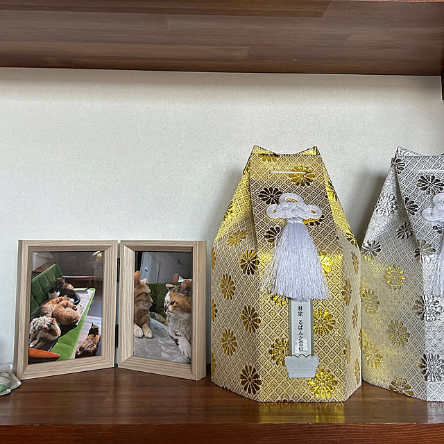 mikeume7さんの実例写真