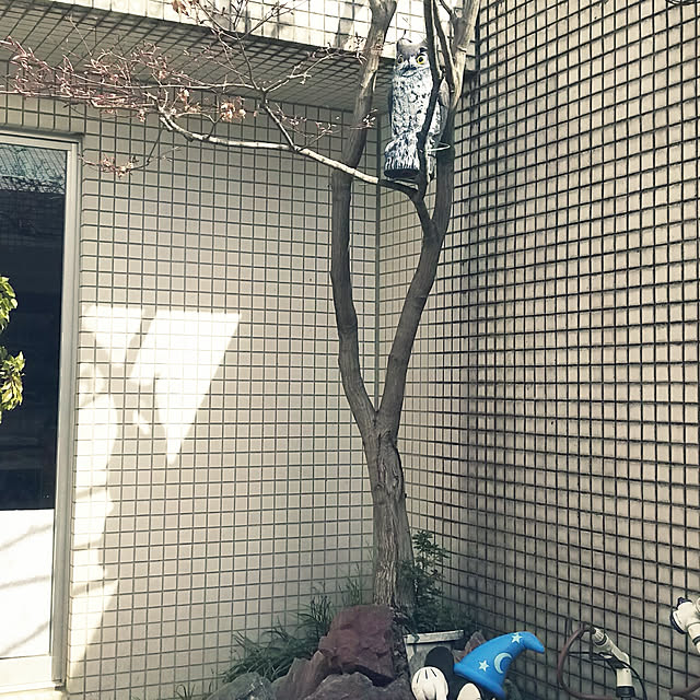 kumimmyさんの実例写真