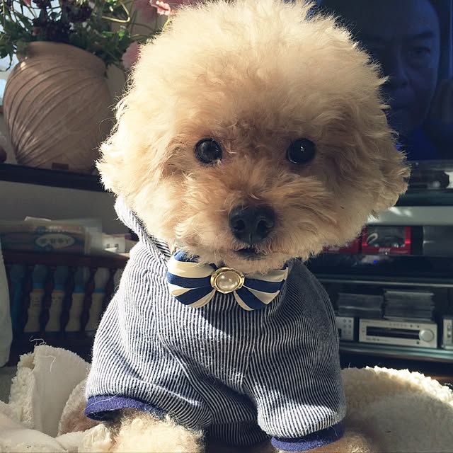 chocomamaさんの実例写真