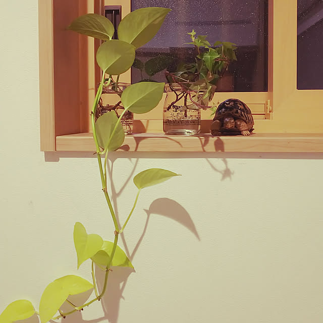 akibchanさんの実例写真