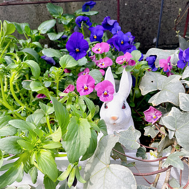 mamさんの実例写真