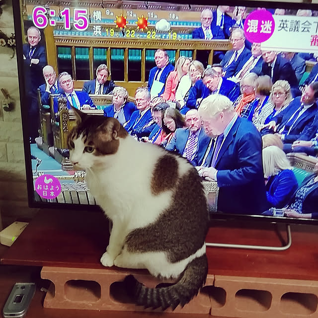 Tomopさんの実例写真