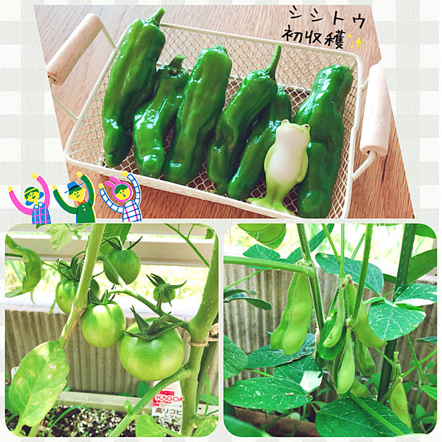 mangoさんの実例写真
