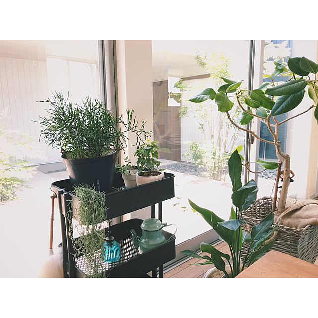 km_home17さんの実例写真