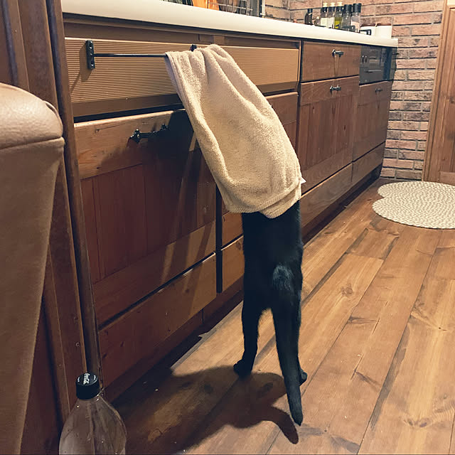 tabasaさんの実例写真