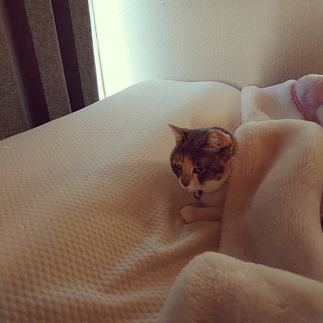 fukuさんの実例写真