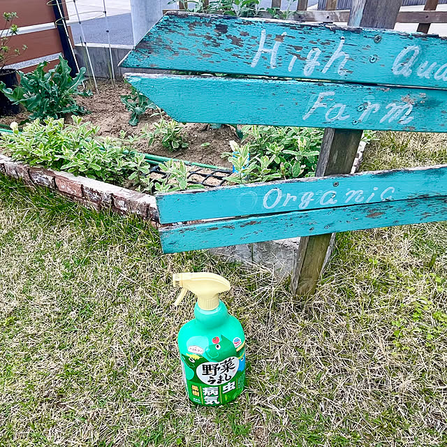 yoshibuさんの実例写真