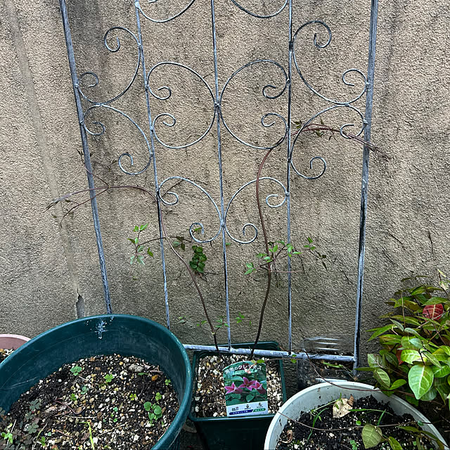 fumikoiさんの部屋