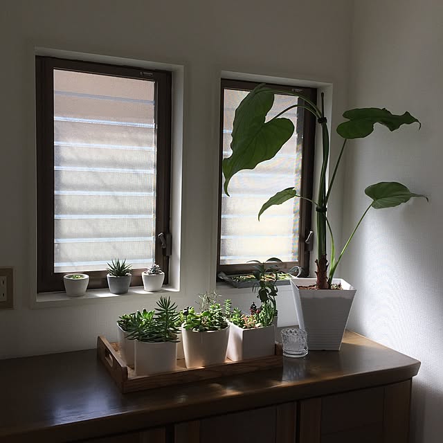 y.frvr.ks-lvyuiさんの実例写真