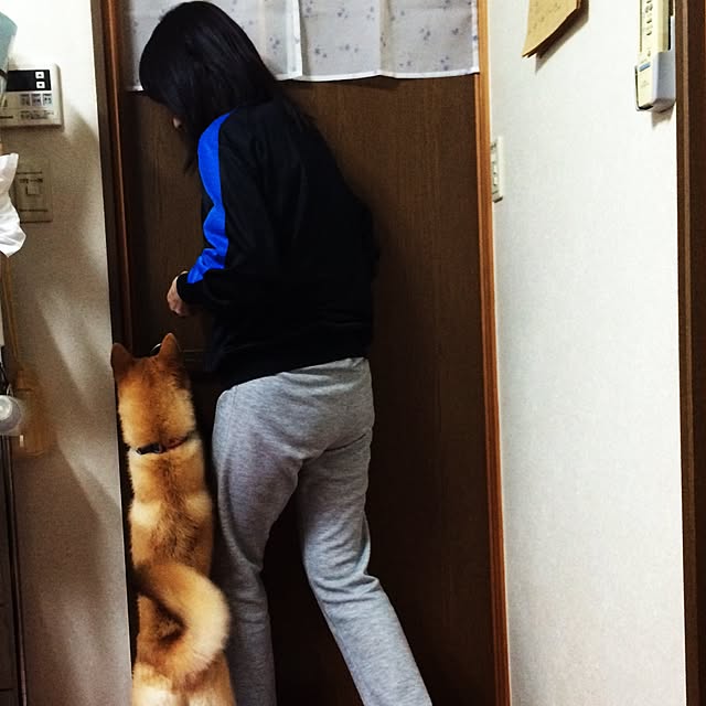 toi114さんの実例写真