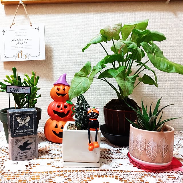 katさんの部屋