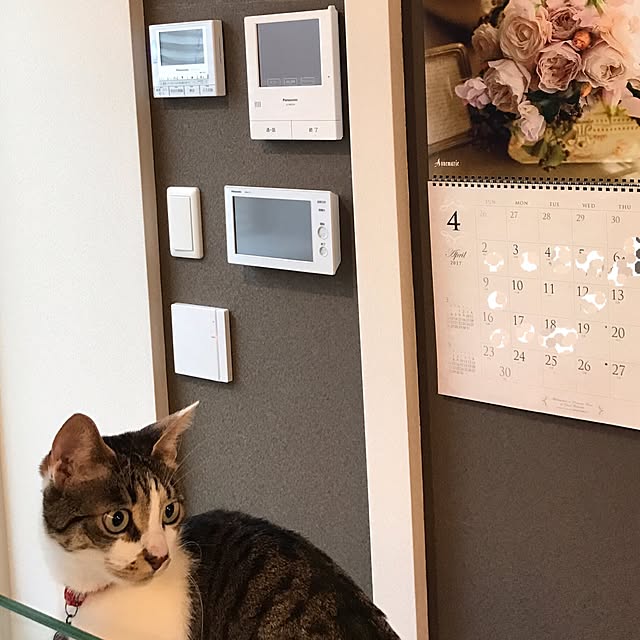 nsugi0710さんの実例写真