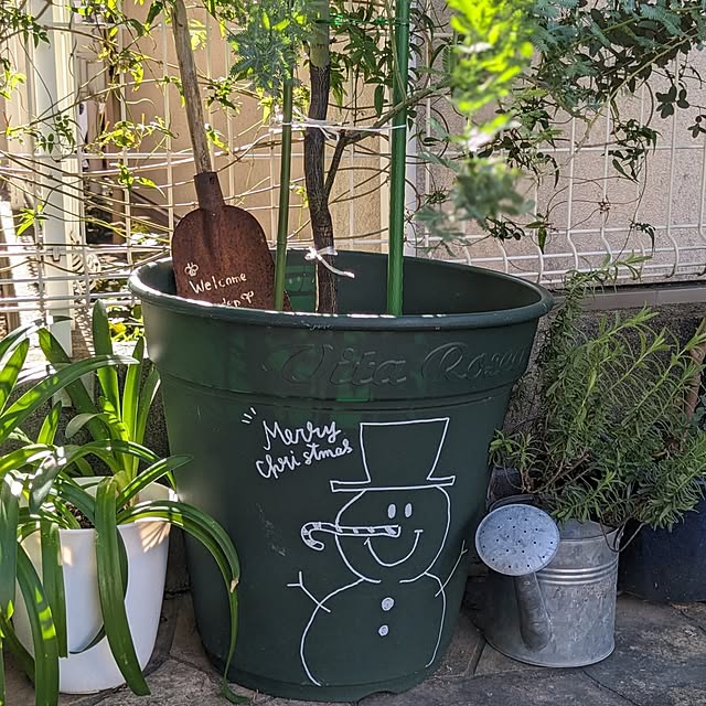 junさんの部屋