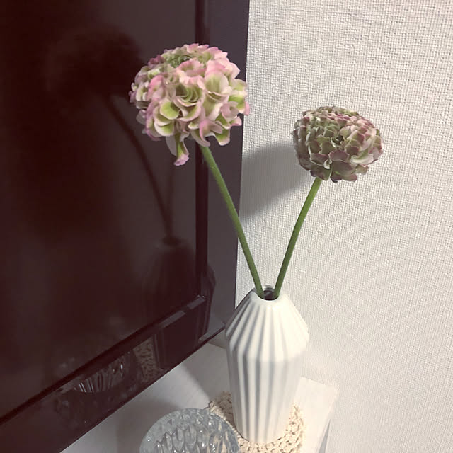 Halさんの実例写真