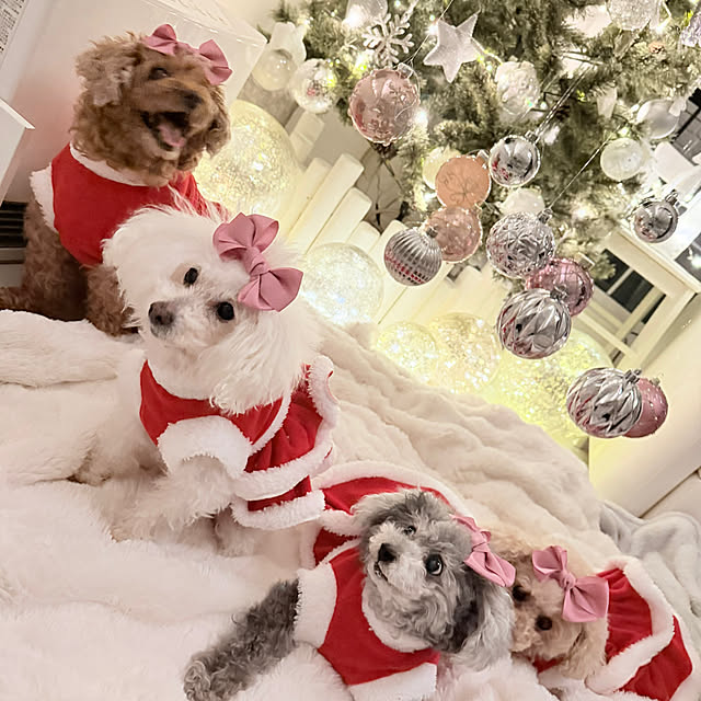 Saitouさんの実例写真