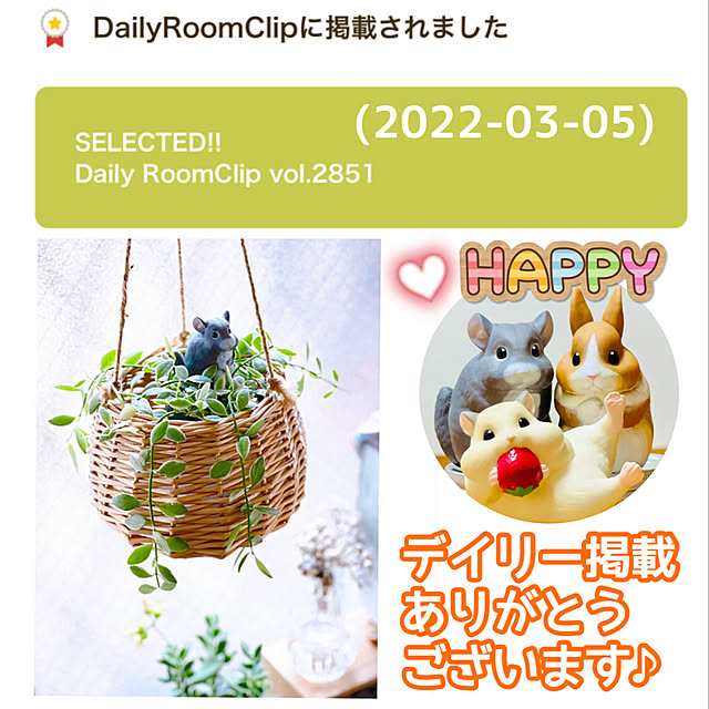 miechuraさんの実例写真