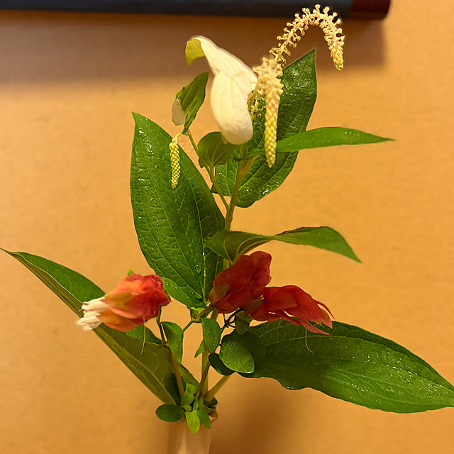 mozukuさんの部屋