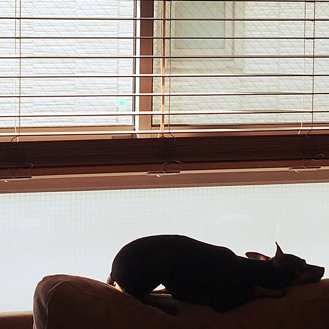ayaさんの実例写真