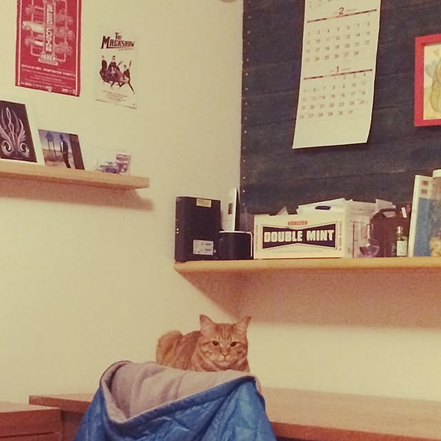 kina4さんの実例写真