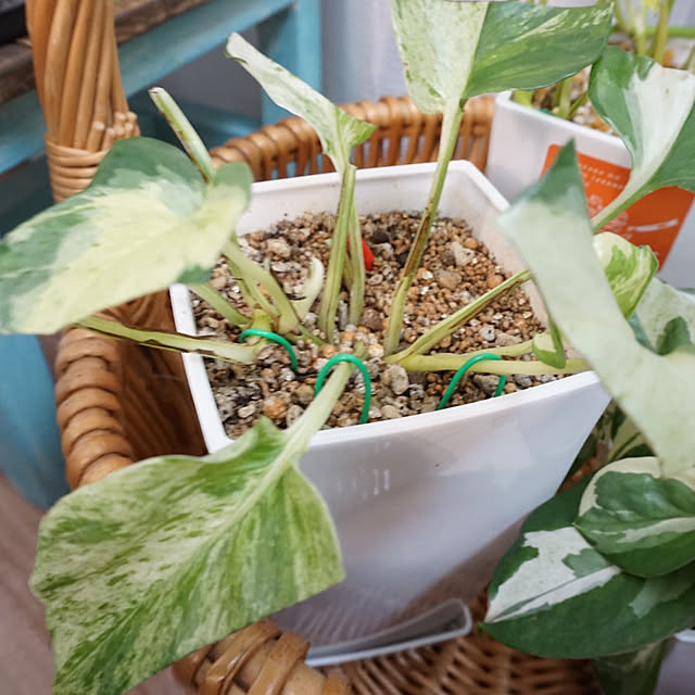 asさんの部屋