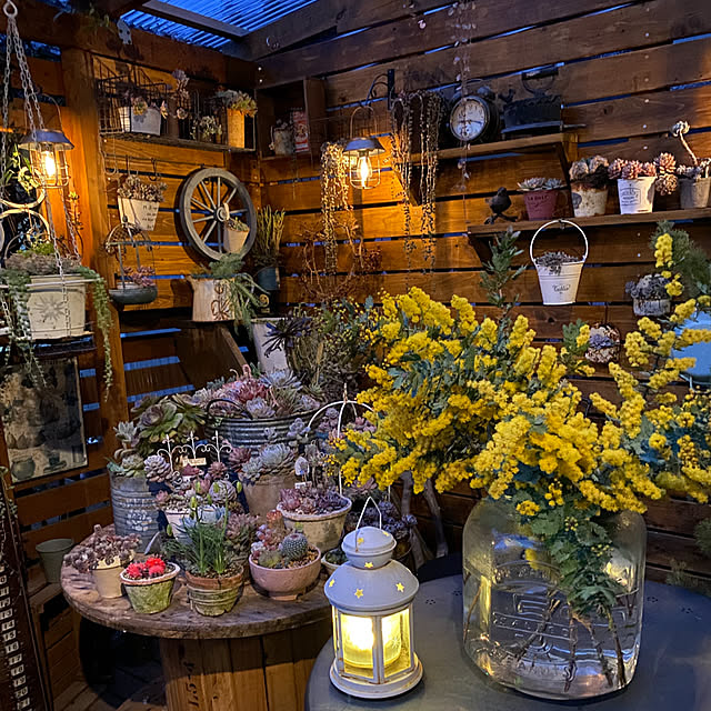 mintteaさんの部屋