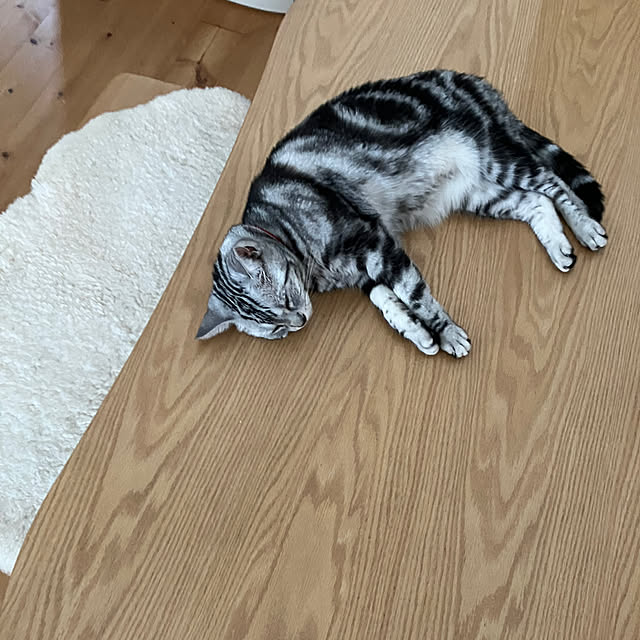 wahahaさんの実例写真