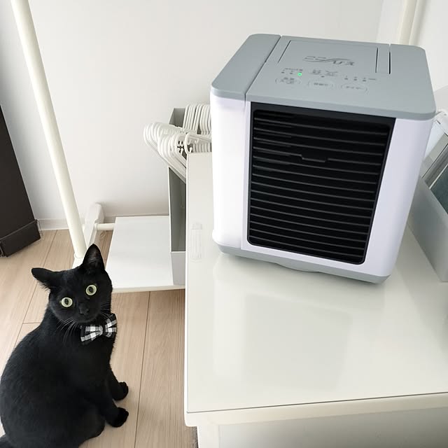 sakuraさんの部屋