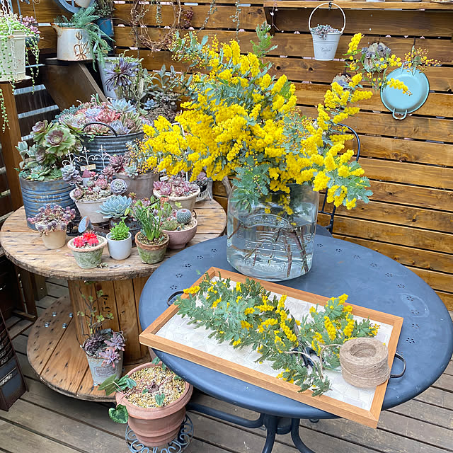 mintteaさんの部屋