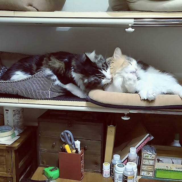 +CHIHARU+さんの実例写真