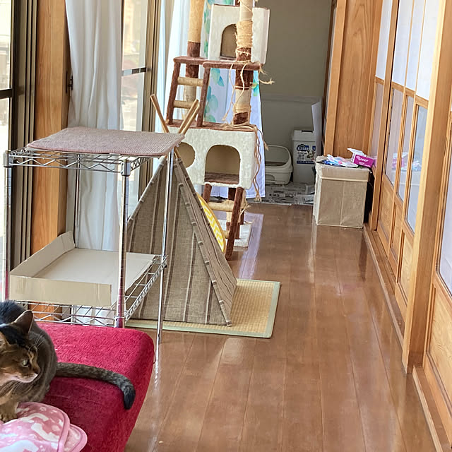 zabonzabonさんの部屋