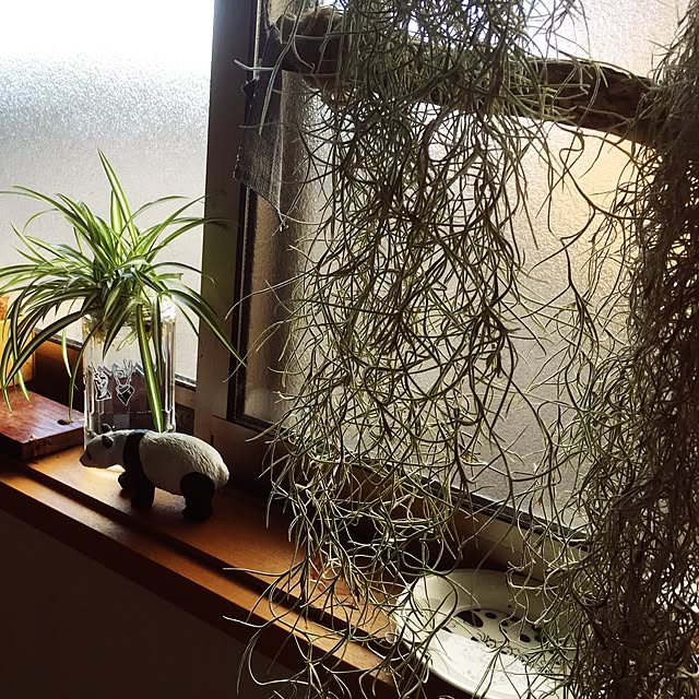 bimoさんの実例写真