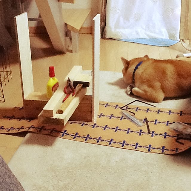 kotaさんの実例写真