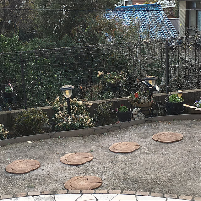kiyomiさんの実例写真