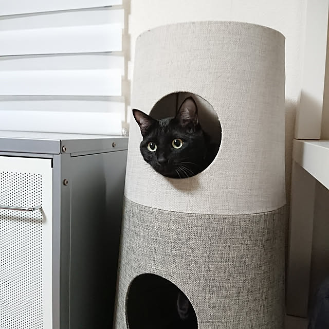maikyさんの実例写真