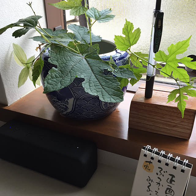 buchiさんの実例写真