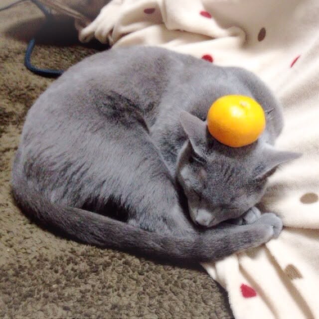 ameji14さんの実例写真