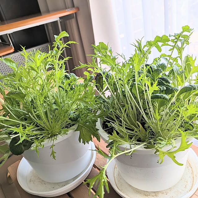 renrinmamaさんの部屋
