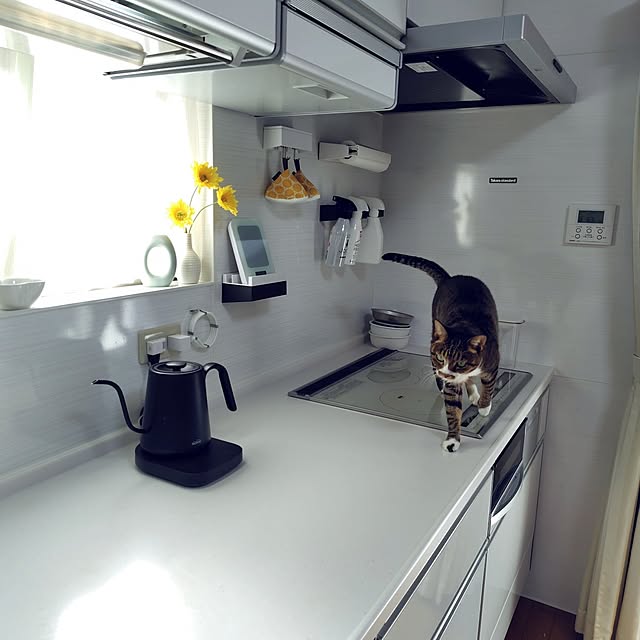 nachiさんの実例写真